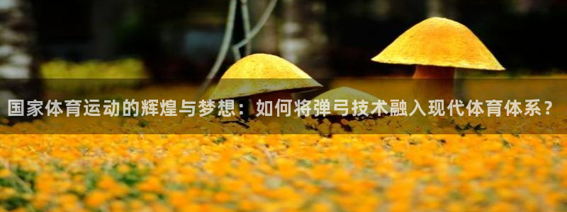国家体育运动的辉煌与梦想：如何将弹弓技术融入现代体育体系？
