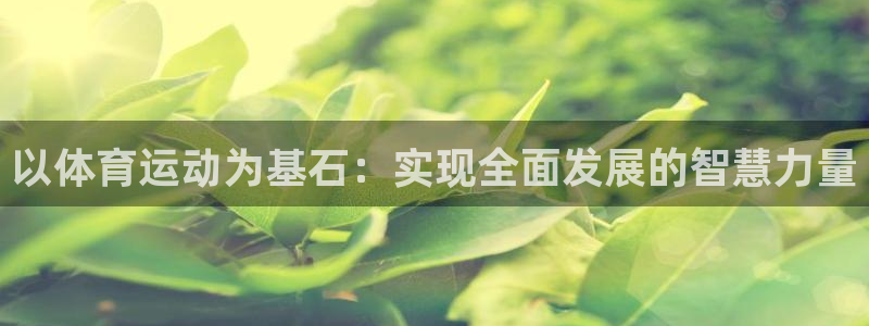 以体育运动为基石：实现全面发展的智慧力量